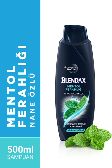 Blendax Erkekler Için Mentollü Şampuan 500 ml