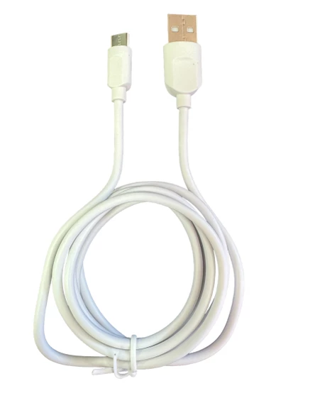 Blue Spectrum BS-DT01 125 CM Type-C Uyumlu Şarj ve Data Kablosu - 2