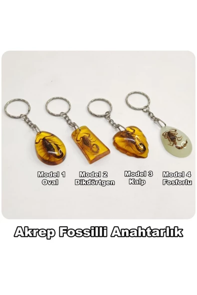 Akrep Fosilli - Toz Kehribar Anahtarlık - 4 Model - 2
