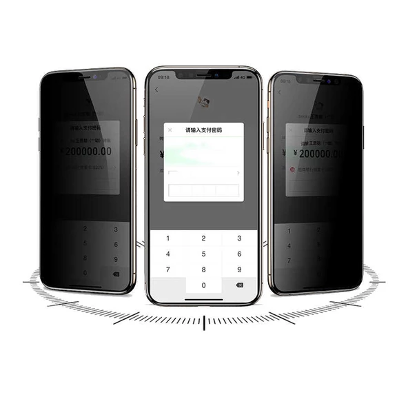 Apple iPhone 12 Pro Max Davin 5D Privacy Cam Ekran Koruyucu - 3