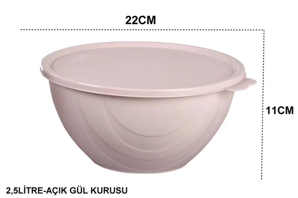 Moon Star Elegance Kapaklı Yoğurt Mayalama Kabı Yemek Saklama Kabı 2,5Litre-RBK-312 - 5