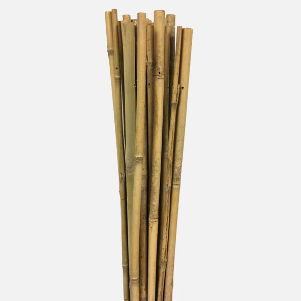 Gardener Bambu Bitki Destek Çubuğu 60 cm