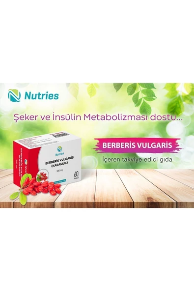 Berberis Vulgaris (KARAMUK) 60 Kapsül - Resim 2