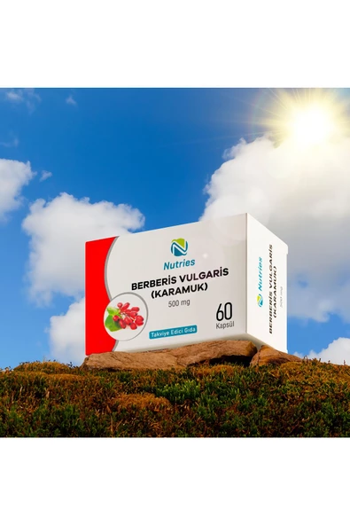 Berberis Vulgaris (KARAMUK) 60 Kapsül - Resim 4