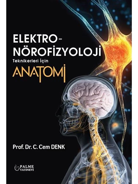 ELEKTRO NÖROFİZYOLOJİ TEKNİKLERİ İÇİN ANATOMİ