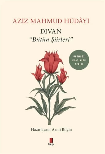 Divan - "Bütün Şiirleri"