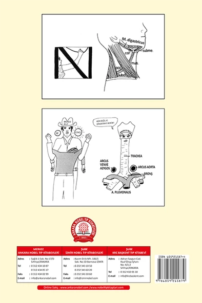 Basitleştirilmiş Klinik Anatomi - Resim 2