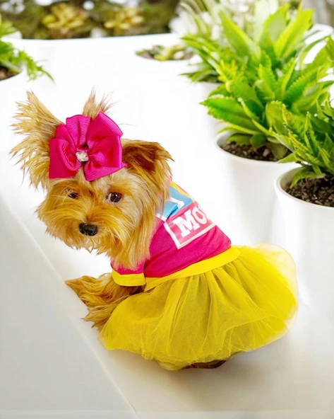 PINK Love Mom Tütülü Köpek Elbisesi, Kıyafeti Tutu - 5