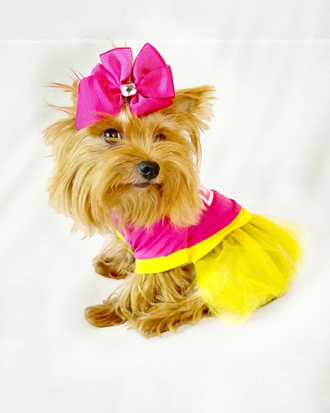 PINK Love Mom Tütülü Köpek Elbisesi, Kıyafeti Tutu - 3