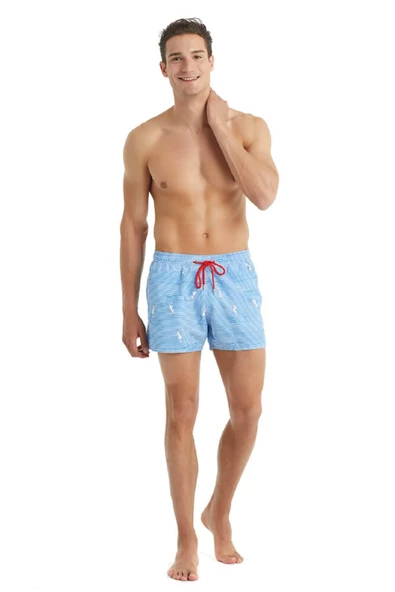 Blackspade 10403 Erkek Şort Mayo - 3