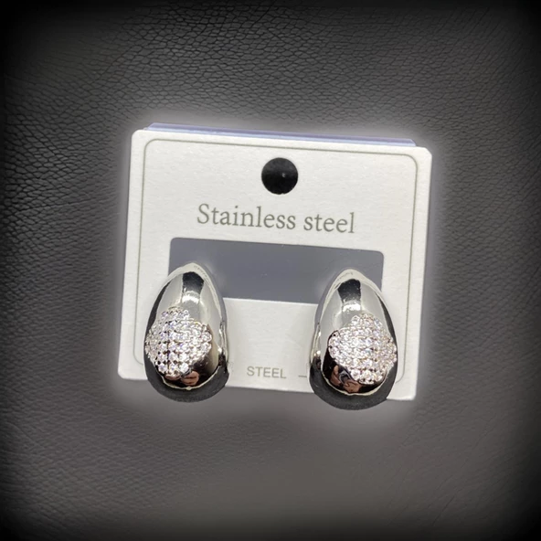 Göz Kamaştıran Parlaklık Gümüş Renk 316L Antialerjik Çelik Kadın Küpe ürün görseli 1