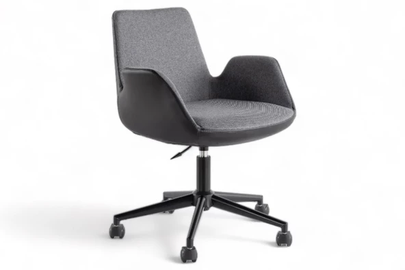 Sancak , Dora Çalışma Koltuğu , Siyah Antrasit - 2