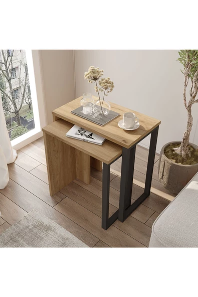 Robin Home Lidya 2'Li Zigon Sehpa Yan Sehpa Metal Ayaklı Uv Baskı Sepet-Jüt