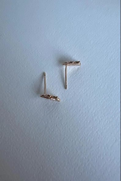 MİNİ BOY YAPRAK KÜPE ( 18 K ) - 2