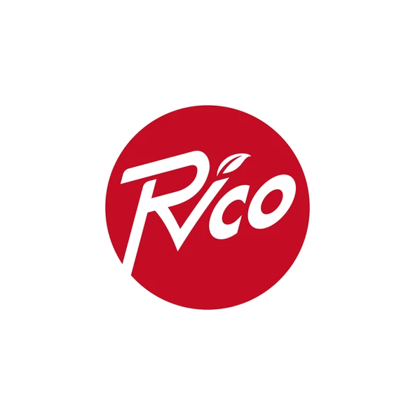 Rico Kaplamalı Mıknatıslı Torx Bits Uç Matkap Ucu T55 75 mm KK1164 - 3