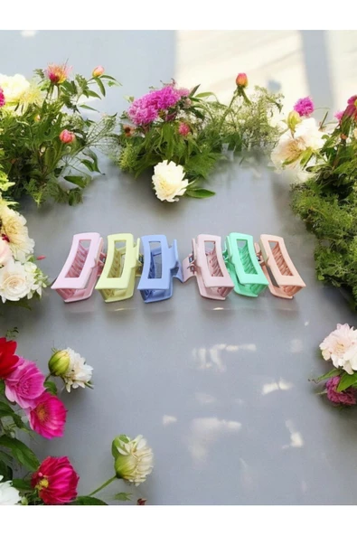 6'LI SOFT PASTEL RENKLER KADIN MANDAL TOKA - 2