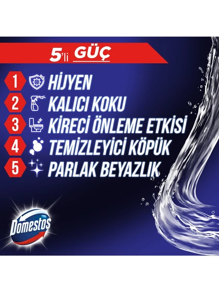 Domestos WC Blok 5 Li Güç Tuvalet Bloğu Çam Ferahlığı Maksimum Hijyen 100 Gr x 2 Adet - 4