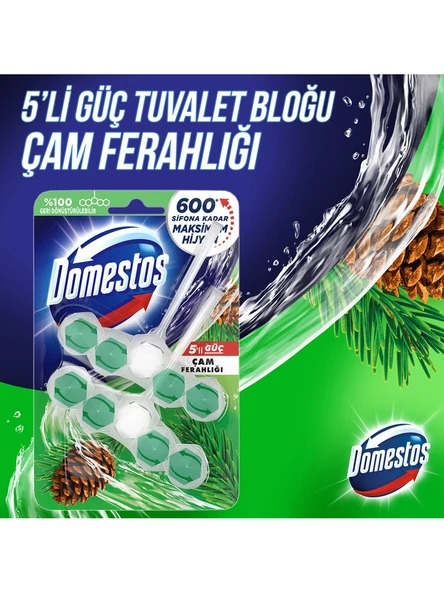 Domestos WC Blok 5 Li Güç Tuvalet Bloğu Çam Ferahlığı Maksimum Hijyen 100 Gr x 3 Adet - 3