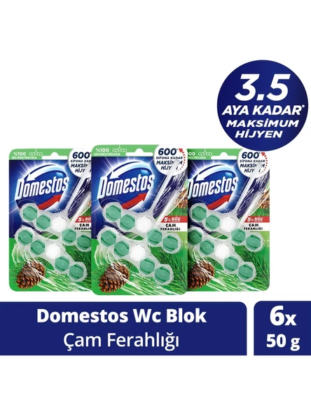 Domestos WC Blok 5 Li Güç Tuvalet Bloğu Çam Ferahlığı Maksimum Hijyen 100 Gr x 3 Adet