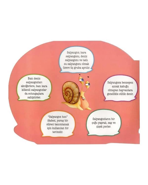 Şekilli Hayvanlar Serisi - Salyangoz Parıltı Yayınları - Resim 2