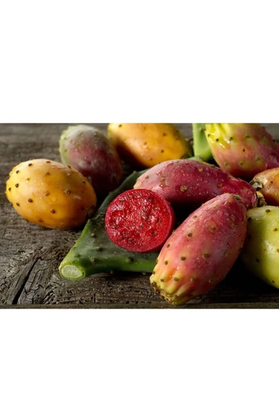 Gülen Market Frenk İnciri Fidanı 3 Adet - 2