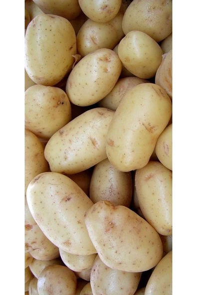 Kızartmalık Patates 10 Kg