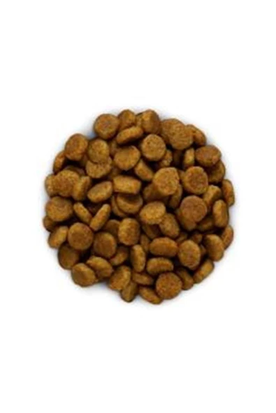 Kuru Köpek Maması 3 Kg