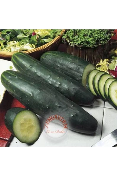 Marketmore salatalık tohumu cucumis sativus