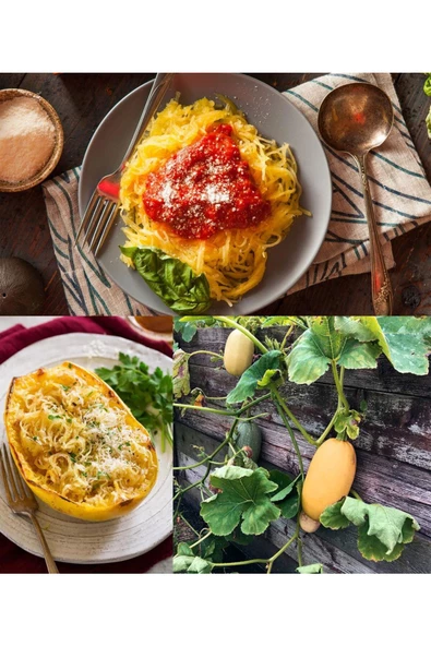 Spagetti Kabak Tohumu Geleneksel Kışlık Winter Squash - 4