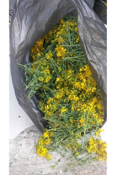 110 ml Kantaron Yağı Ev Yapımı Kırmızı Kantaron Cilt Yaraları Için Bakım Yağı Dağ Kantoron Çiçeği - 5