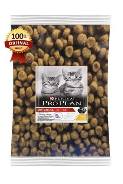 Kitten Tavuklu Yavru Kedi Maması- 1 Kg X 2 Adet =2 Kg- Kürek