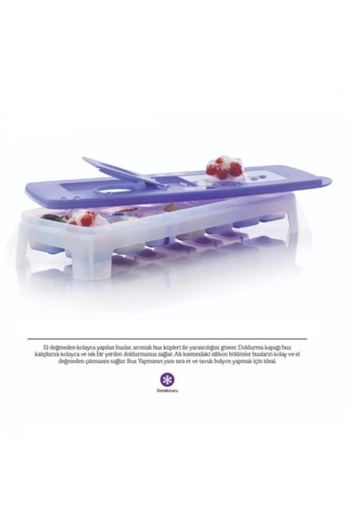 Alaska Buz Devri Buz Kalıbı 14'lü Hsgl Mor - 5