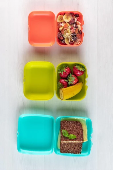 Eco+ Büyük Taşıma Kabı Limon-Yeşil - 4