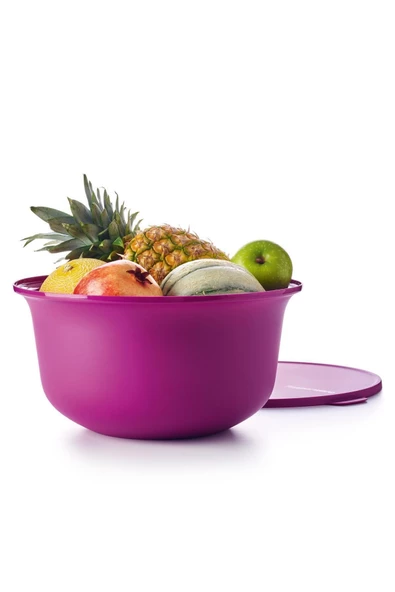 Aloha Serisi Koyu Mor Buzdolabı Gıda Saklama Kabı 7.5lt - 2