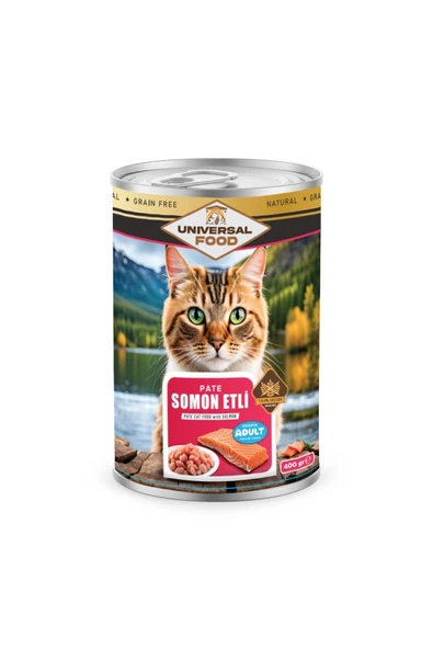 Kedi Konservesi - Exquisite Pate Somon Etli Kedi Konserve 400g*20 Adet Fiyatı