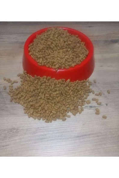 Kısırlaştırılmış Somonlu Kuru Kedi Maması - 1 Kg Dokme Özel Paketli