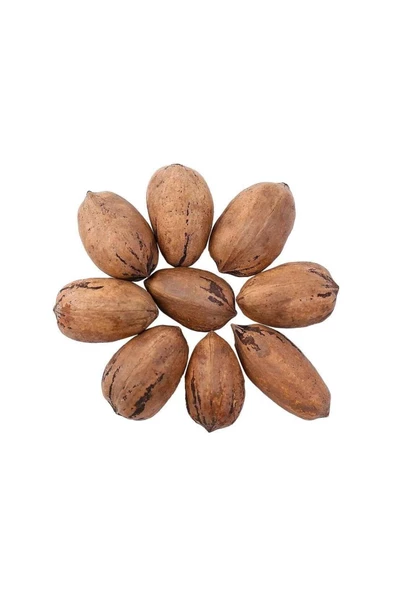 Yerli Pikan Cevizi ( Kabuklu ) 1 Kg - 2