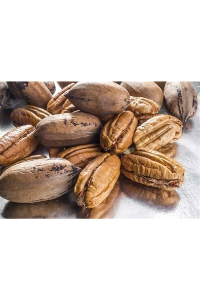 Pikan Cevizi 3 Kg Anamur Mersin - 2