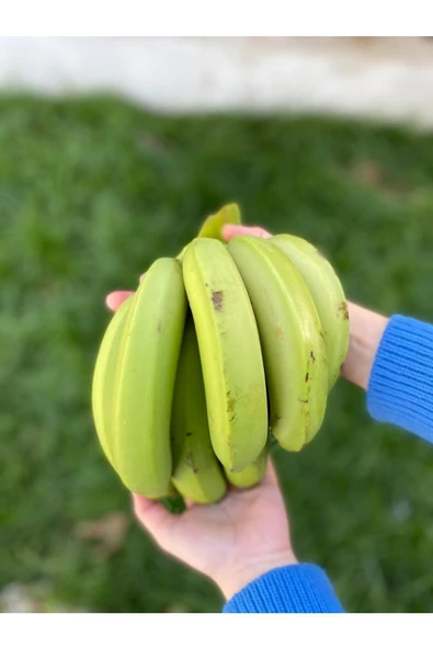 Yerli Yeşil Muz 5 Kg