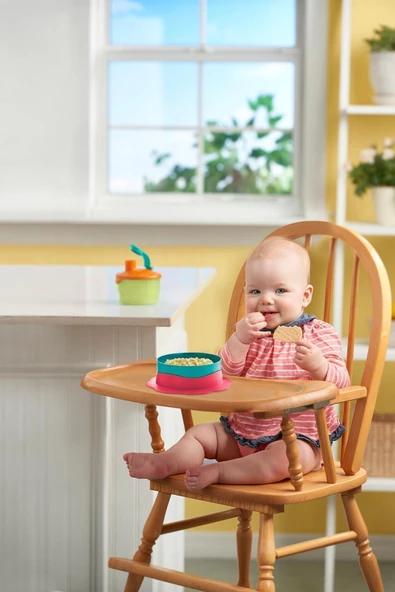 Renkli Tabağım Berrylou 500 Ml - 5