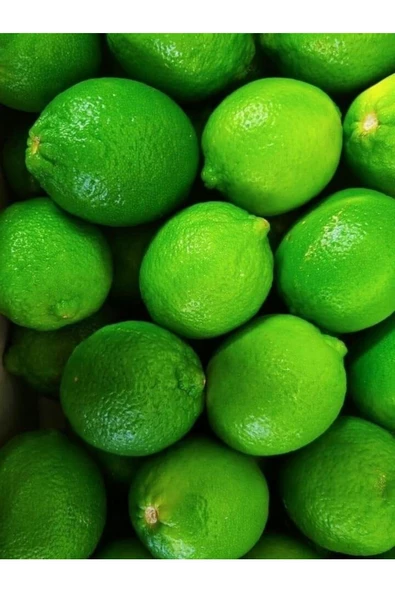 2 kg Taze Yeşil Limon - 2
