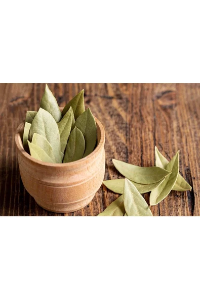 DEFNE YAPRAĞI 1 KG - 2