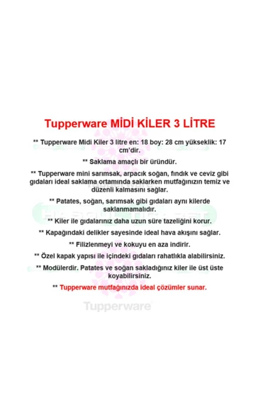 Kiler Midi Yeşil Patates Soğan Saklama Kabı 3 lt - 3