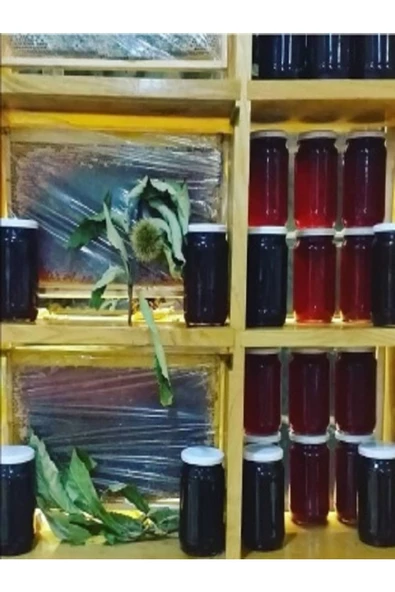 Kastamonu Saf Doğal Kestane Balı - 2