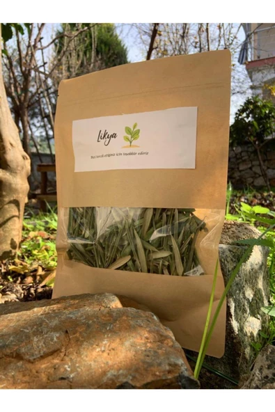 Taze Zeytin Yaprağı 120 gr Detoks Çayı Delice Zeytinden - 2