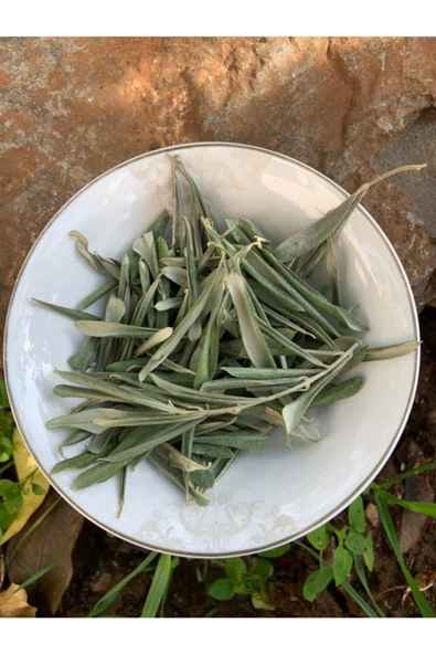 Taze Zeytin Yaprağı 120 gr Detoks Çayı Delice Zeytinden - 3