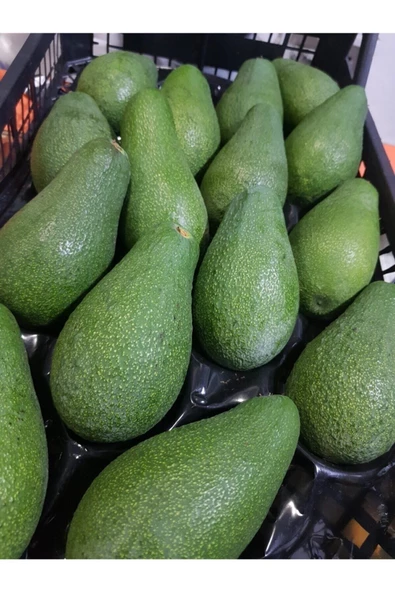 Avakado 1 kg ürün görseli 1