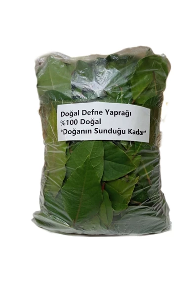 Akdeniz Defne Yaprağı 50 Gr Dalından - 2