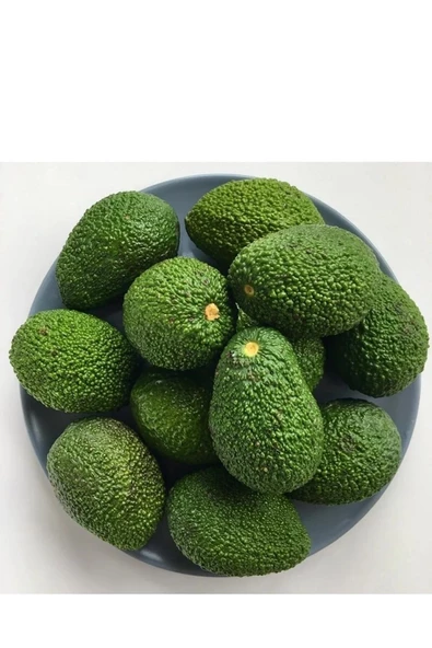 Tropikalsepet Avokado 10 Adet - 3