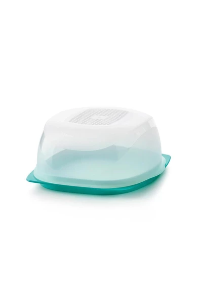 Peynir Dünyası Mini Turkuaz - 2